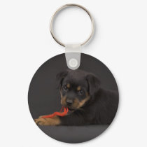 Playing Puppy 5 keychains by VioDePhoto Playing Puppy 5 keychains