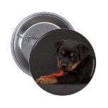 Playing Puppy 5 Pinback Button