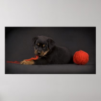 Playing Puppy 5 Print