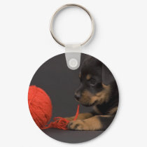 Playing Puppy 6 keychains by VioDePhoto Playing Puppy 6 keychains