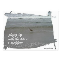PLAYING TAG SANDPIPER ACEO HAIKU ART TRADING CARD- business cards by Reflekshins PLAYING TAG SANDPIPER ACEO HAIKU ART TRADING CARD- business cards