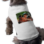 Playing Ukulele in the Parade Pet T Shirt