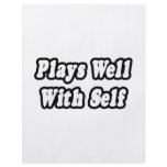 Plays Well With Self Full Color Flyer