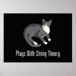 Plays With String Theory Posters