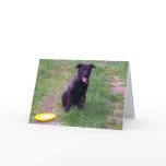Playtime Greeting Card
