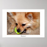 Playtime! posters