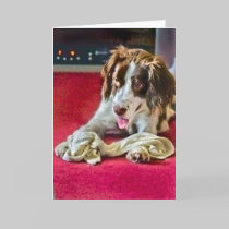 Playtime Timeout Card cards