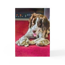 Playtime Timeout Card