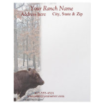 PLB Letterhead