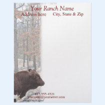 PLB Letterhead by MakaraPhotos PLB Letterhead