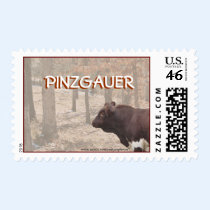 PLB-Stamp-customize by MakaraPhotos PLB-Stamp-customize