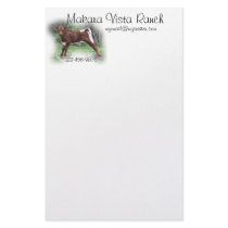 PLBStretchStationery-customize