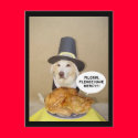 PLEADING TURKEY postcards