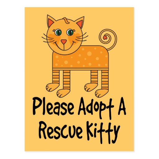 please_adopt_a_rescue_kitty_cat_gift_post_card-rc57f9c9a71484571b1c37d9f2ec6e87c_vgbaq_8byvr_512.jpg