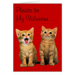 Please be My Valentine ... Card