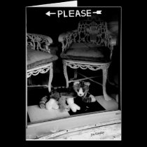 Please cards