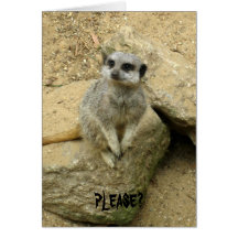 PLEASE? CARDS