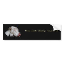 Please consider adopting a rescue ani... bumper stickers by GingerBarritt Please consider adopting a rescue ani... bumper stickers
