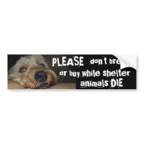 Please don't BREED or BUY. . . bumper stickers