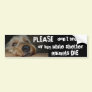 Please Dont Breed Or Buy While Shelter Animals Die Bumper Stickers