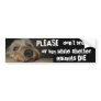 Please Dont Breed Or Buy While Shelter Animals Die Bumper Stickers