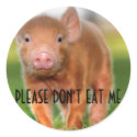 Please Don't Eat Me stickers by TheAnimalLiberator Please Don't Eat Me stickers