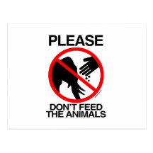 Please Don't Feed the Elephants Postcard