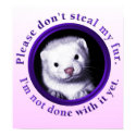 Please don't steal my fur, I'm not done with it posters
