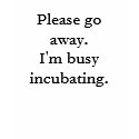 Please go away.I'm busy incubating. t-shirts by sarcastica Please go away.I'm busy incubating. t-shirts