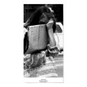 Please Help, Berkeley, California posters by daysrays Please Help, Berkeley, California posters