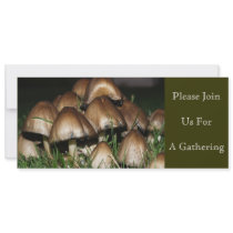 Please Join Us invitations