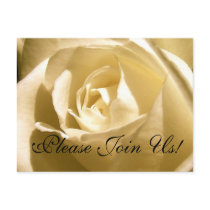 Please Join Us! Invitation Postcard Cream Rose by WeddingCentre Please Join Us! Invitation Postcard Cream Rose