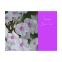 Please Join Us Postcard by pulsDesign Please Join Us Postcard