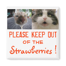 Please Keep Out of the Strawberries Magnet