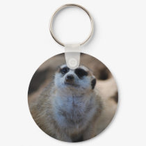 Please? keychains