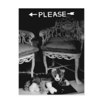 Please postcards by bhbphotos Please postcards