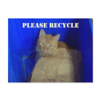 Please Recycle Postcard by time2see Please Recycle Postcard
