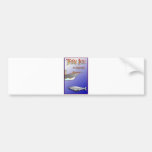 PLEASE SAVE THE RIGHTWHALE BUMPER STICKERS