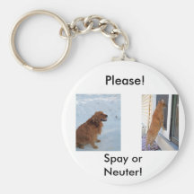 Please!  Spay or Neuter! Key Chains