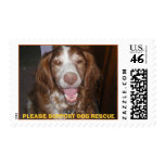 PLEASE SUPPORT DOG RESCUE postage