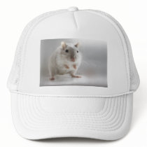 PLEASED TO MEET YOU MESH HAT