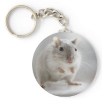 PLEASED TO MEET YOU KEY CHAINS