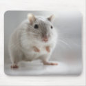 PLEASED TO MEET YOU mousepads