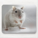 PLEASED TO MEET YOU mousepads