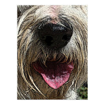 Pleased to Meet You posters by daysrays Pleased to Meet You posters