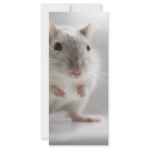 PLEASED TO MEET YOU CUSTOM RACK CARD