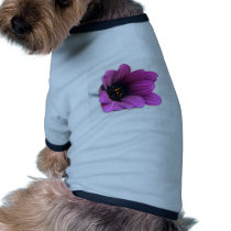 pleasing purple pet clothing