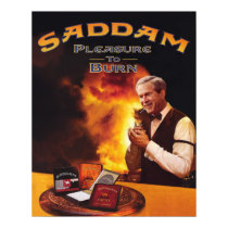 Pleasure to Burn. posters