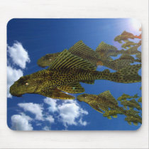 Pleco Migration #2 mousepads by rcvernors Pleco Migration #2 mousepads