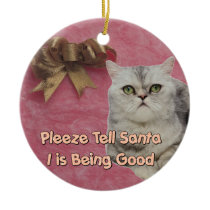 Pleeze Tell Santa Christmas Tree Ornaments